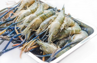 Illustration for article titled Get Your Fish Online at a Excellent Cost